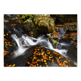 小ぎれいな平たい箱の滝の秋の景色