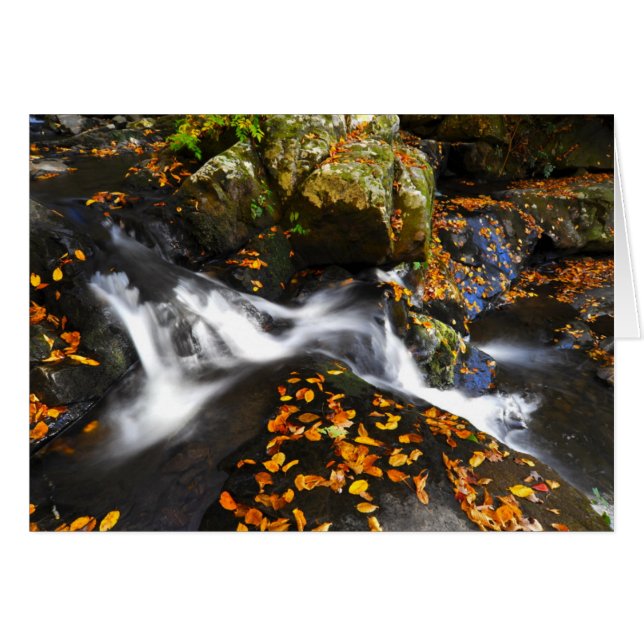 小ぎれいな平たい箱の滝の秋の景色 (正面横)