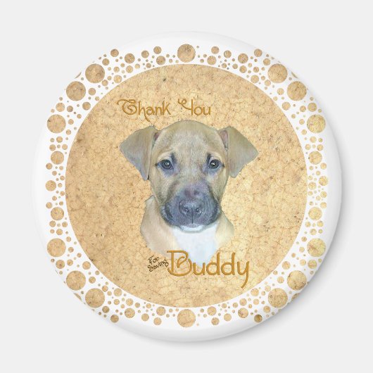 小けがをした子犬 – 救出！ マグネット (正面)