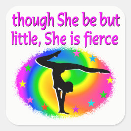 小さいがカラフル激しい体操のシール スクエアシール