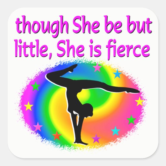 小さいがカラフル激しい体操のシール スクエアシール (正面)