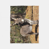 小さいろば フリースブランケット (正面)