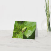 小さいカエルのメッセージカード(光沢のある) ノートカード (正面)