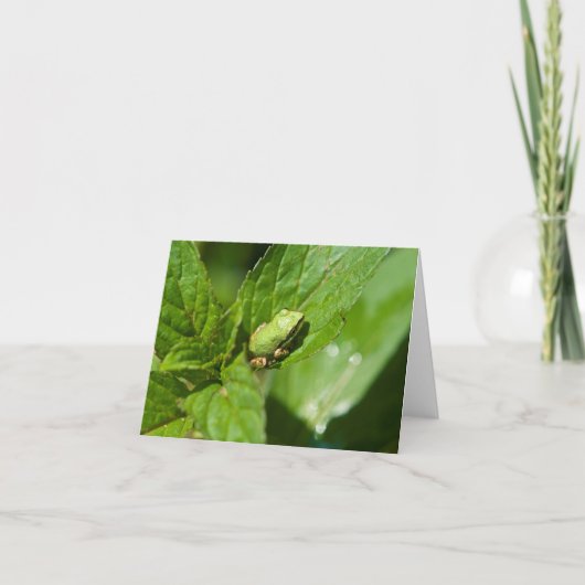 小さいカエルのメッセージカード(光沢のある) ノートカード (正面)