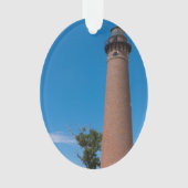 小さいクロテンポイントライト オーナメント (正面)