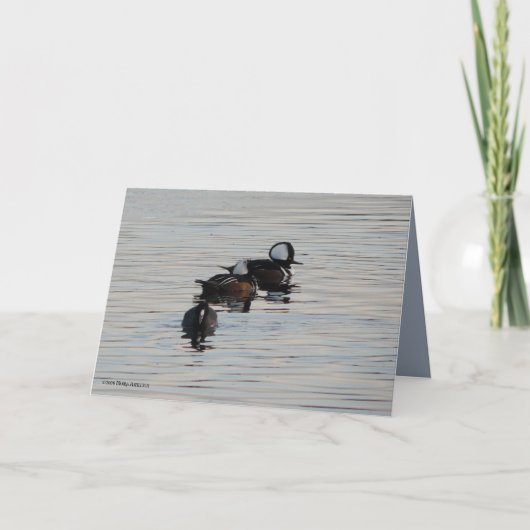 小さいダイバー カード (正面)