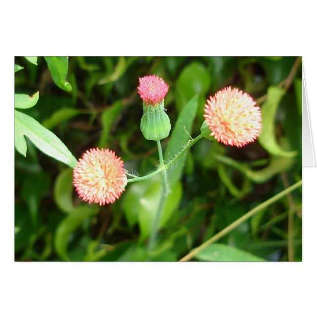 小さいチアリーダーカード (正面横)