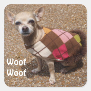小さいチワワはWoofのWoofを言います スクエアシール