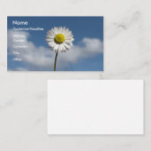 小さいデイジー 名刺 (正面/裏面)