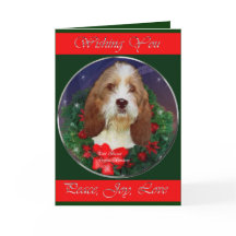 小さいバセット犬のGriffon Vendeenのクリスマスのギフト