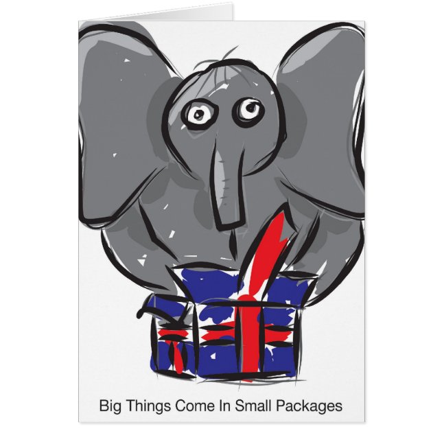 小さいパッケージ入って来大きい事 (正面)