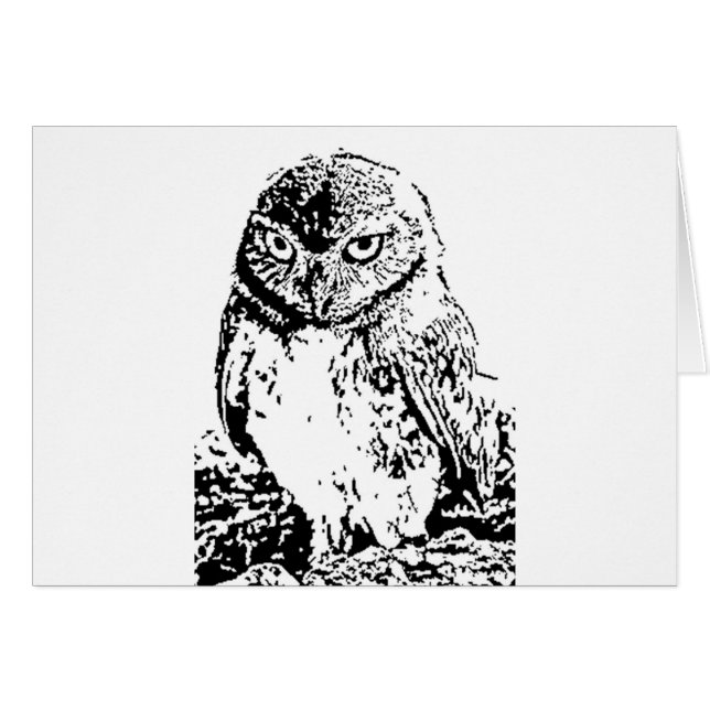 小さいフクロウ (正面横)