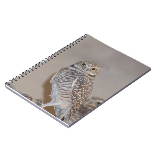 小さいフクロウ ノートブック (左側)