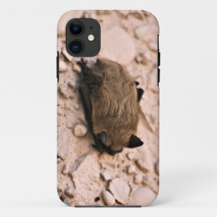 小さいブラウンこうもり iPhone 11 ケース