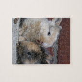 小さいベビーのウサギ ジグソーパズル (横)