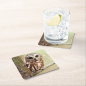 小さいベビーのフクロウ| Ontarios スクエアペーパーコースター (インサイチュ)