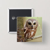小さいベビーのフクロウ| Ontarios 缶バッジ (正面&裏面)