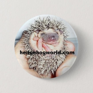 小さいベビーの球ボタン 缶バッジ