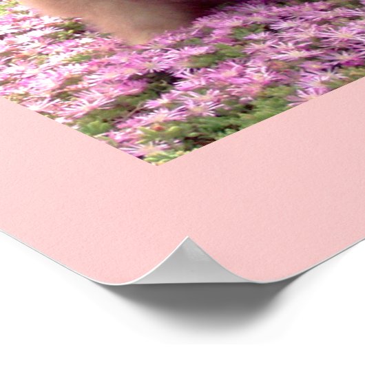 小さいポスター |マーリーポメラニア犬ピンクの花 ポスター (角)