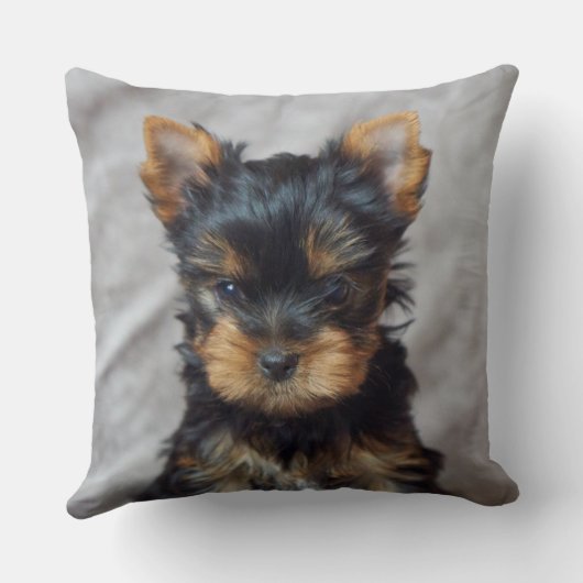 小さいヨークシャーテリア クッション (裏面)