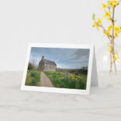 小さいラッパスイセン教会|挨拶状 カード (黄色い花)