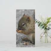小さいリスは足の食糧でかじります サンキューカード (スタンド正面)