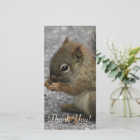 小さいリスは足の食糧でかじります サンキューカード (スタンド正面)