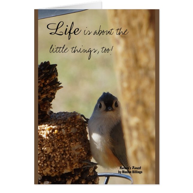 小さい事 (正面)