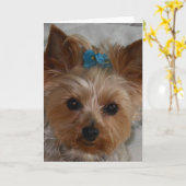 小さい同盟国 カード (黄色い花)