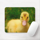 小さい子ガモ マウスパッド (マウス)
