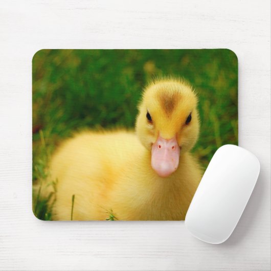 小さい子ガモ マウスパッド (マウス)