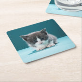 小さい子ネコ スクエアペーパーコースター (アングル)