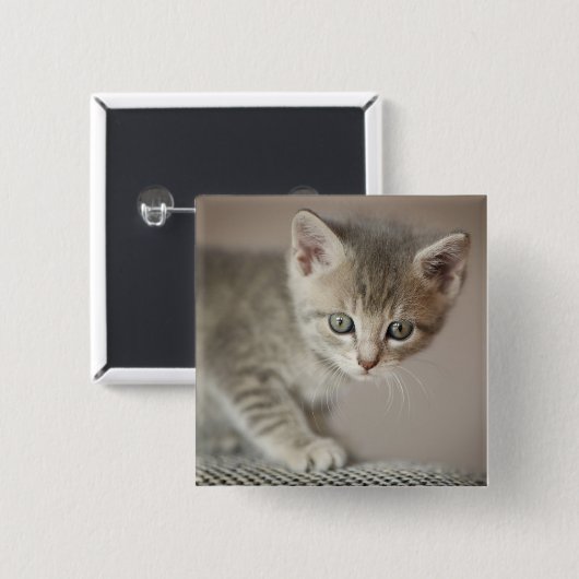 小さい子ネコ 缶バッジ (正面&裏面)