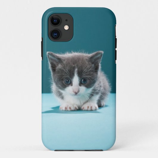 小さい子ネコ Case-Mate iPhoneケース (裏面)