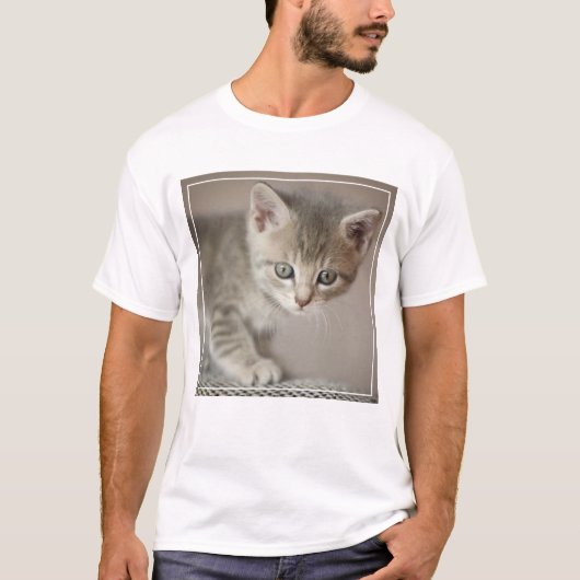小さい子ネコ Tシャツ (正面)