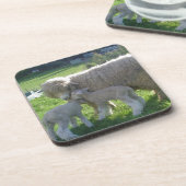 小さい子ヒツジ コースター (左側)