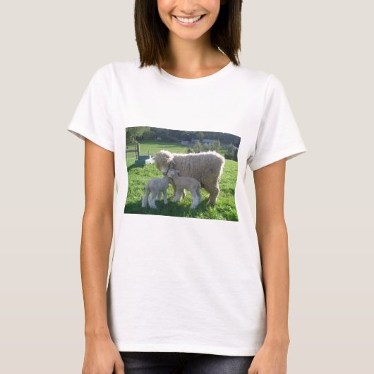 小さい子ヒツジ Tシャツ (正面)