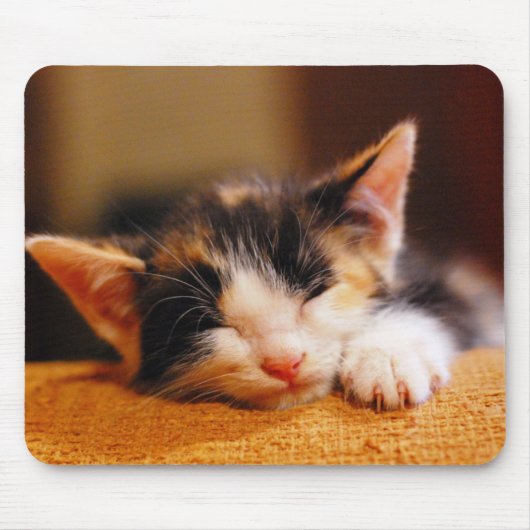 小さい子猫の睡眠 マウスパッド (正面)