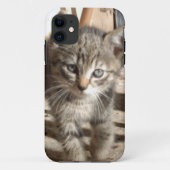 小さい子猫IPhone 5ケース Case-Mate iPhoneケース (裏面)