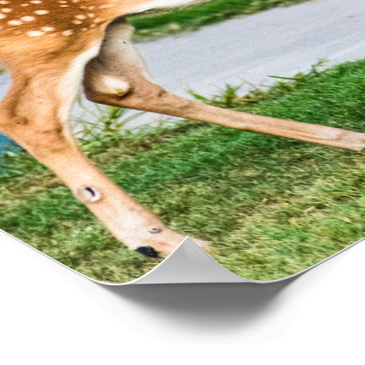 小さい子鹿 ポスター (角)