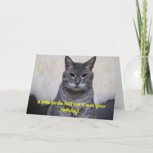 小さい小鳥はあなたの誕生日…だったことを私に告げました カード (正面)