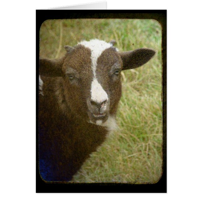 小さい方が成長している (正面)