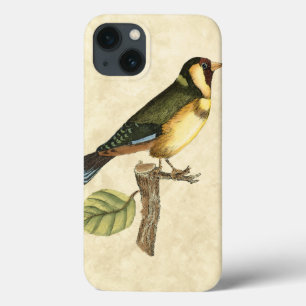 小さい枝でとまる黄色および緑の鳥 iPhone 13ケース