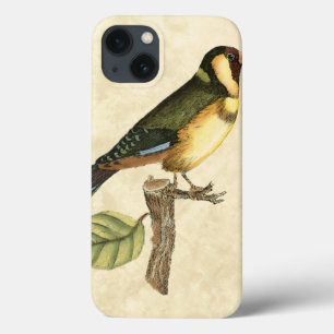 小さい枝でとまる黄色および緑の鳥 iPhone 13ケース
