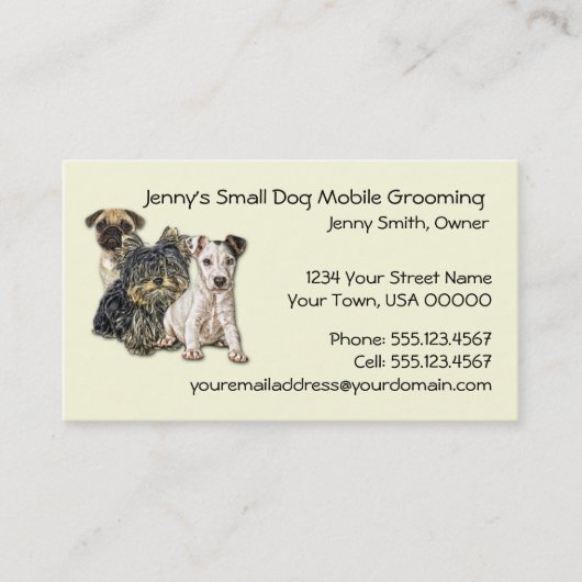 小さい犬の移動式グルーミング2012のカレンダービジネスC 名刺 (正面)