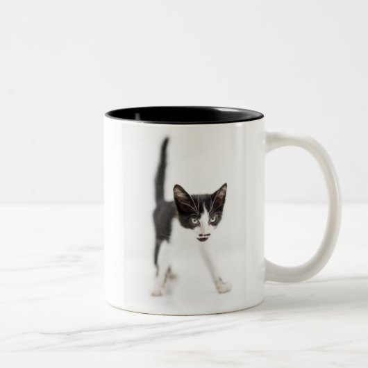 小さい猫 ツートーンマグカップ (右)