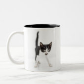 小さい猫 ツートーンマグカップ (左)