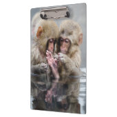 小さい猿| Hot Springs、日本 クリップボード (左)