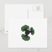 小さい王子 ポストカード (正面/裏面)