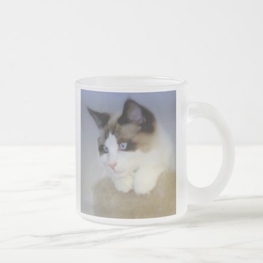 小さい男の子の青によって曇らされるマグ フロストグラスマグカップ (右)